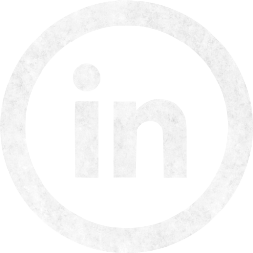 LinkedIn Logo Icon